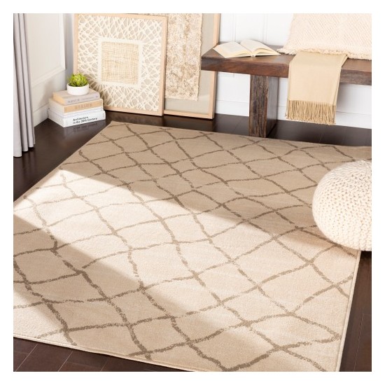 Surya Oslo OSL-2311 2' x 2'11" Rug