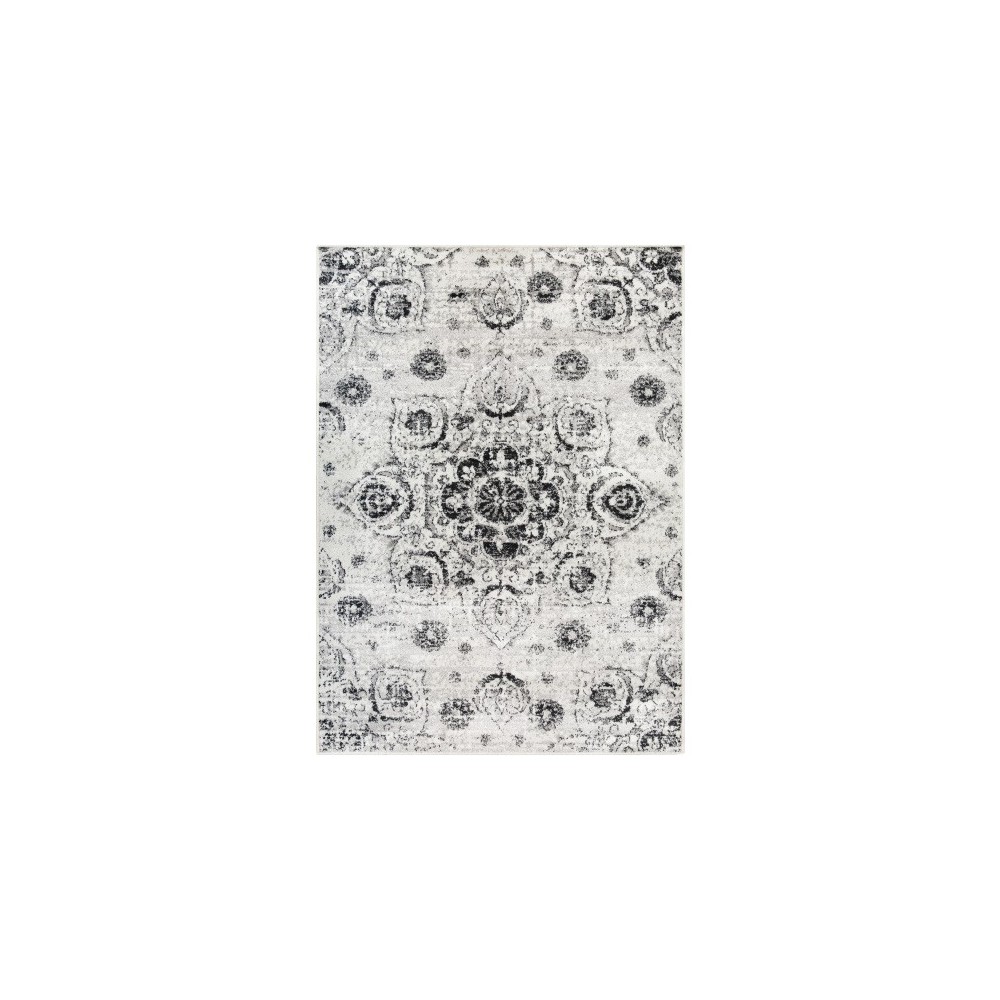 Surya Seville SEV-2310 2' x 2'11" Rug