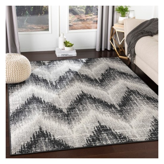 Surya Seville SEV-2311 2' x 2'11" Rug