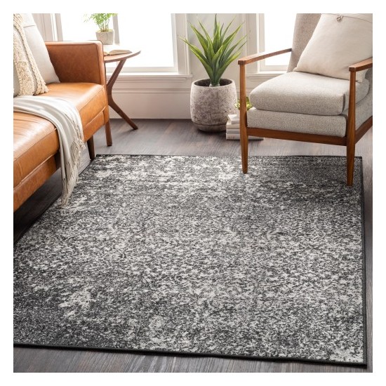 Surya Seville SEV-2313 2' x 2'11" Rug