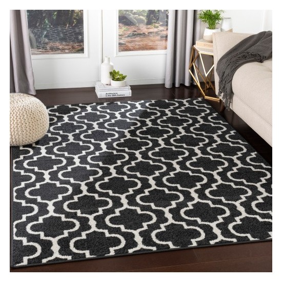 Surya Seville SEV-2317 2' x 2'11" Rug