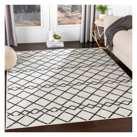 Surya Seville SEV-2320 2' x 2'11" Rug