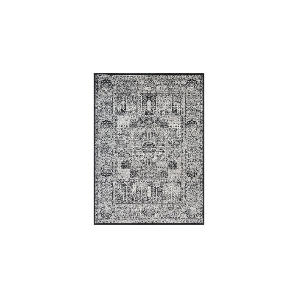 Surya Seville SEV-2323 2' x 2'11" Rug