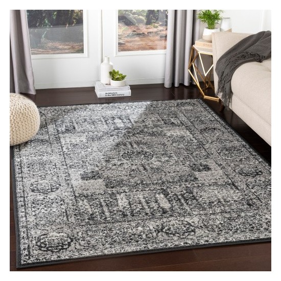 Surya Seville SEV-2323 2' x 2'11" Rug