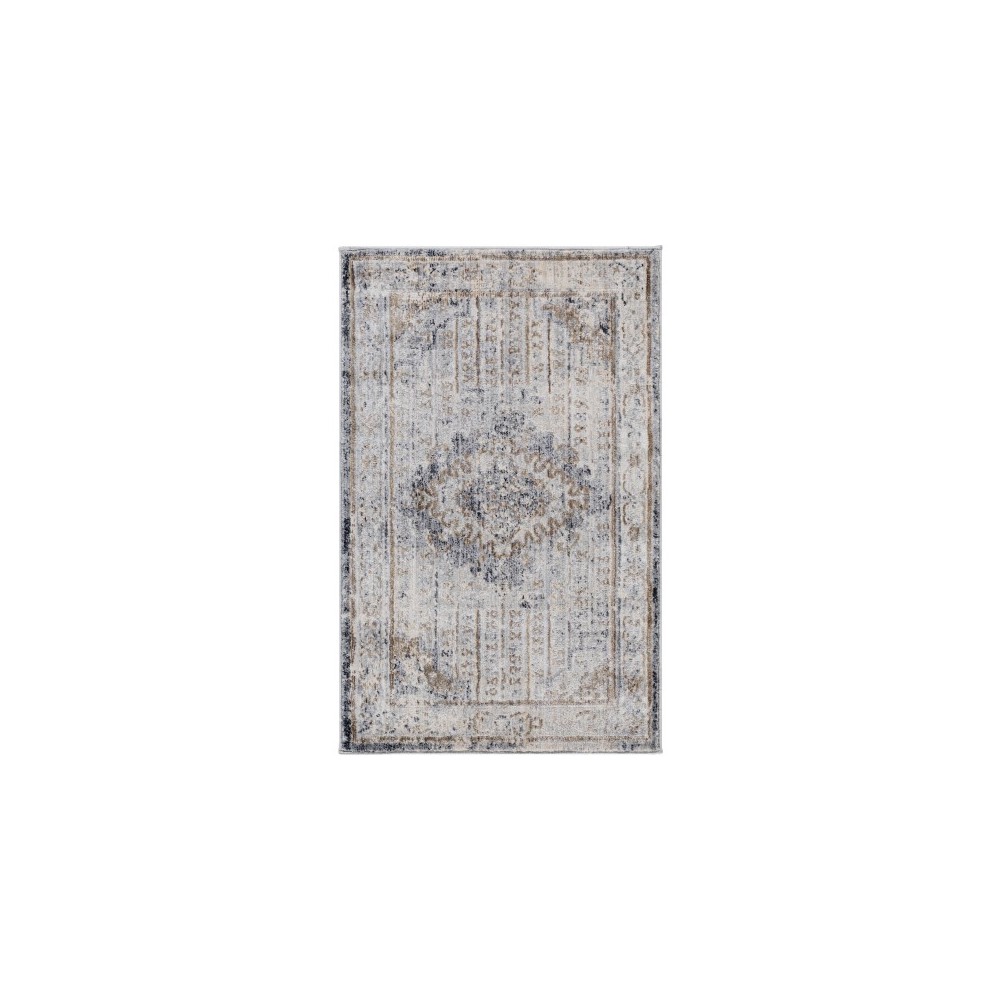 Surya Liverpool LVP-2301 2'7" x 10'2" Rug Surya Liverpool LVP-2301 2'7" x 10'2" Rug