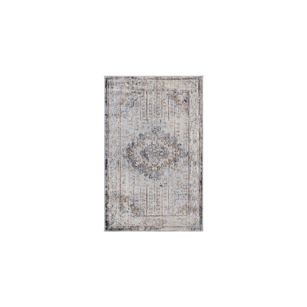 Surya Liverpool LVP-2301 3'11" x 5'7" Rug