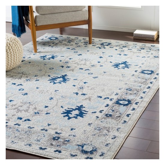 Surya Chelsea CSA-2316 2' x 3' Rug