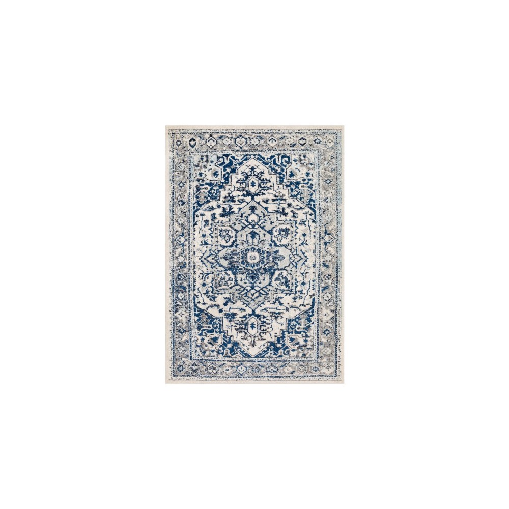 Surya Chelsea CSA-2317 5'3" x 7'3" Rug