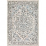 Surya Chelsea CSA-2318 2' x 3' Rug