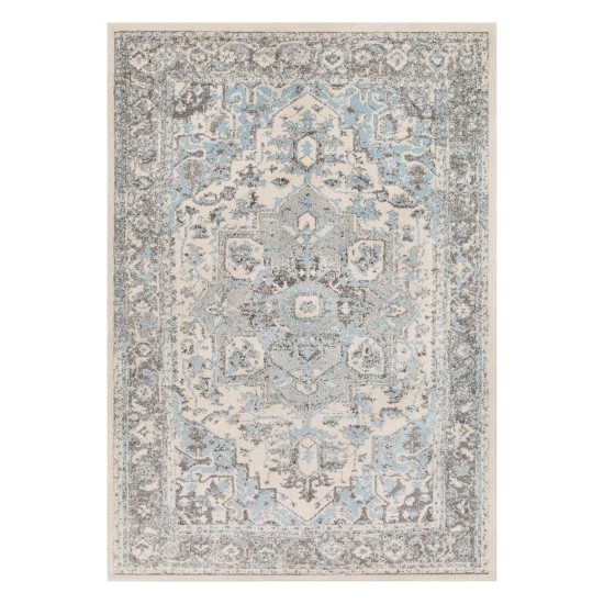 Surya Chelsea CSA-2318 2' x 3' Rug