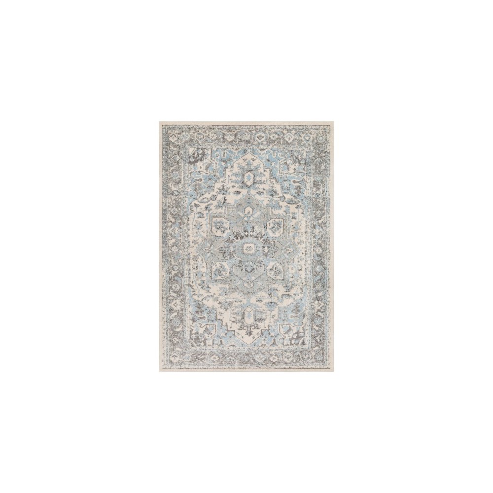 Surya Chelsea CSA-2318 2' x 3' Rug