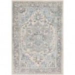 Surya Chelsea CSA-2318 5'3" x 7'3" Rug