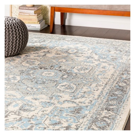 Surya Chelsea CSA-2318 7'10" x 10'3" Rug