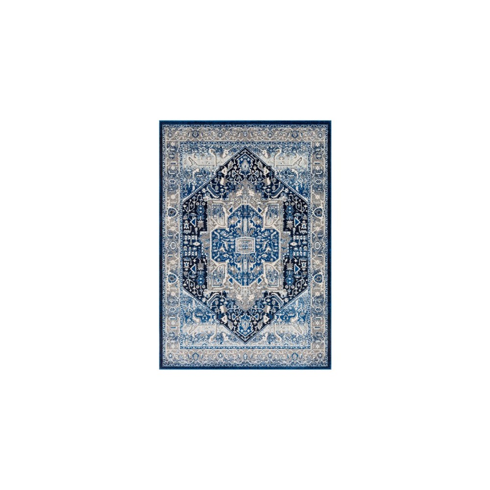 Surya Chelsea CSA-2319 2' x 3' Rug