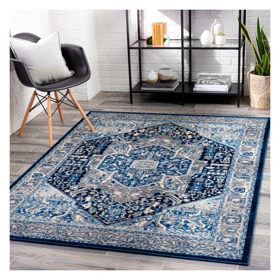 Surya Chelsea CSA-2319 2' x 3' Rug