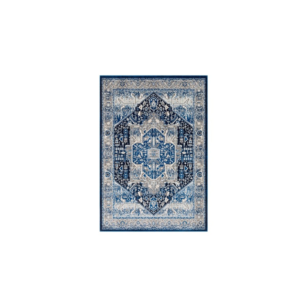 Surya Chelsea CSA-2319 7'10" x 10'3" Rug Surya Chelsea CSA-2319 7'10" x 10'3" Rug