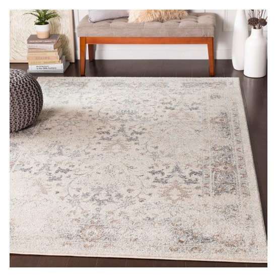 Surya Chelsea CSA-2321 2' x 3' Rug