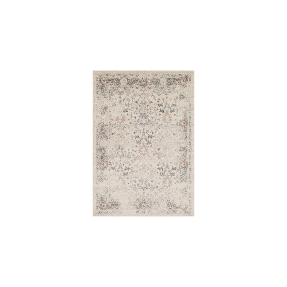 Surya Chelsea CSA-2321 7'10" x 10'3" Rug