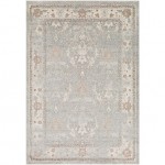 Surya Chelsea CSA-2322 2' x 3' Rug