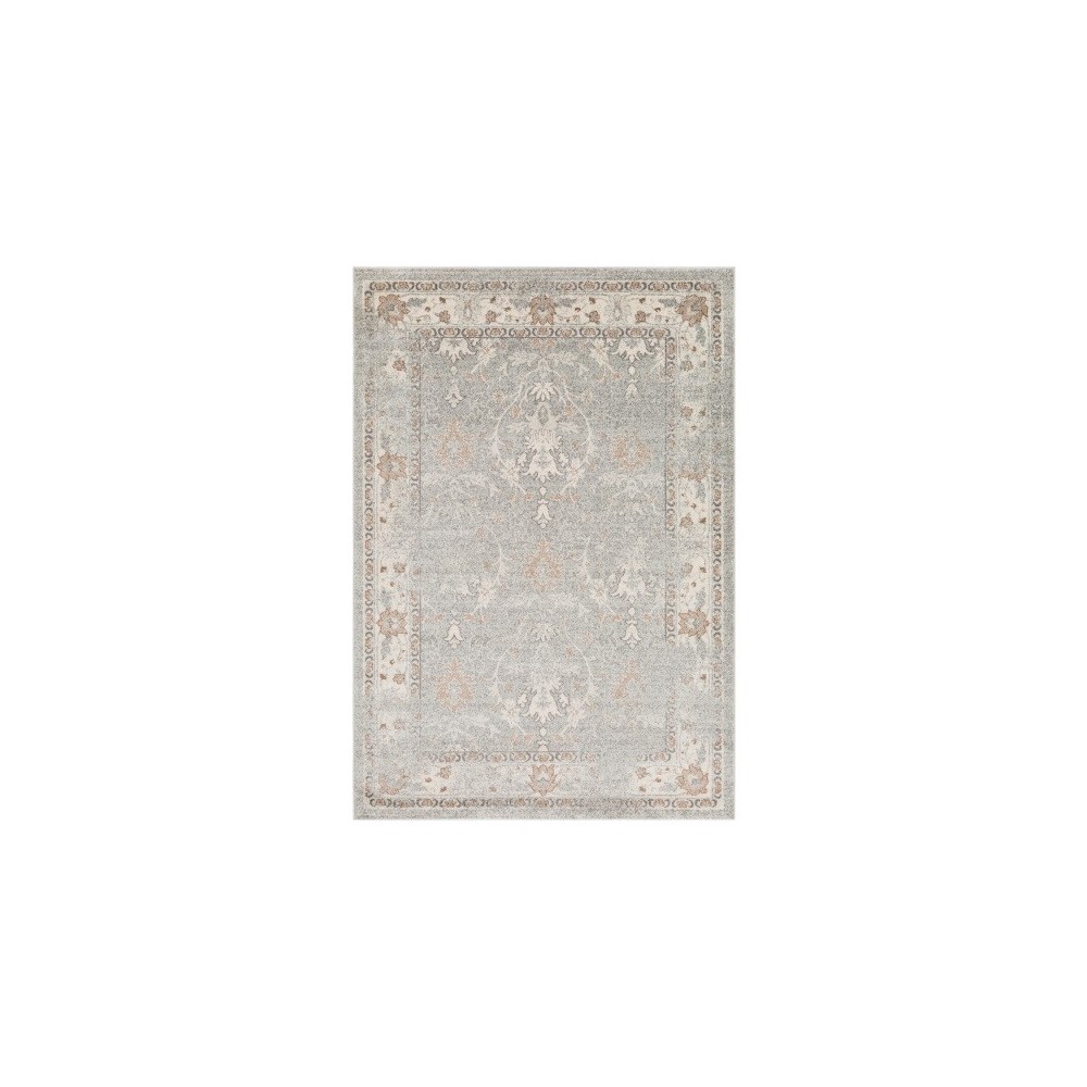 Surya Chelsea CSA-2322 2' x 3' Rug