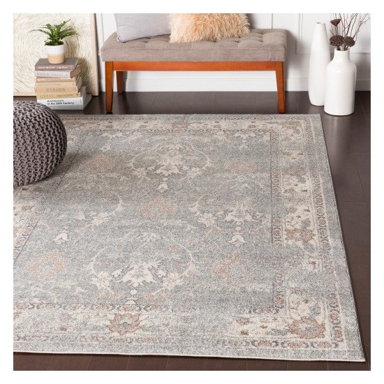 Surya Chelsea CSA-2322 2' x 3' Rug