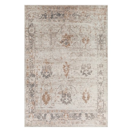 Surya Chelsea CSA-2323 2' x 3' Rug