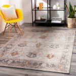 Surya Chelsea CSA-2323 2' x 3' Rug