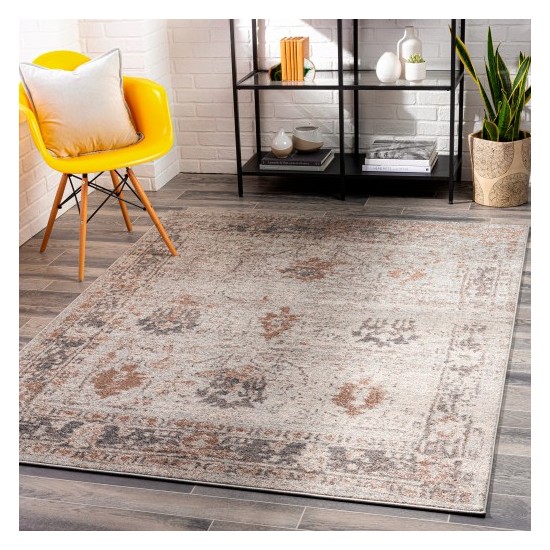 Surya Chelsea CSA-2323 2' x 3' Rug