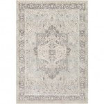 Surya Chelsea CSA-2324 2' x 3' Rug
