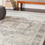 Surya Chelsea CSA-2324 2' x 3' Rug