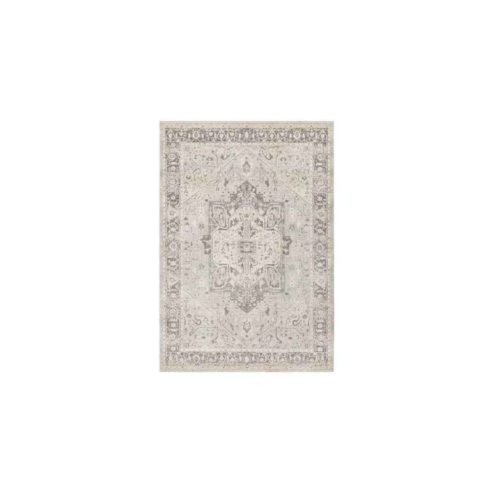 Surya Chelsea CSA-2324 5'3" x 7'3" Rug