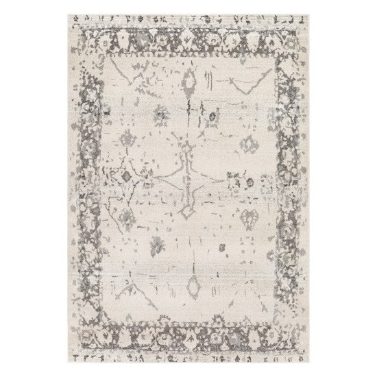 Surya Chelsea CSA-2325 2' x 3' Rug