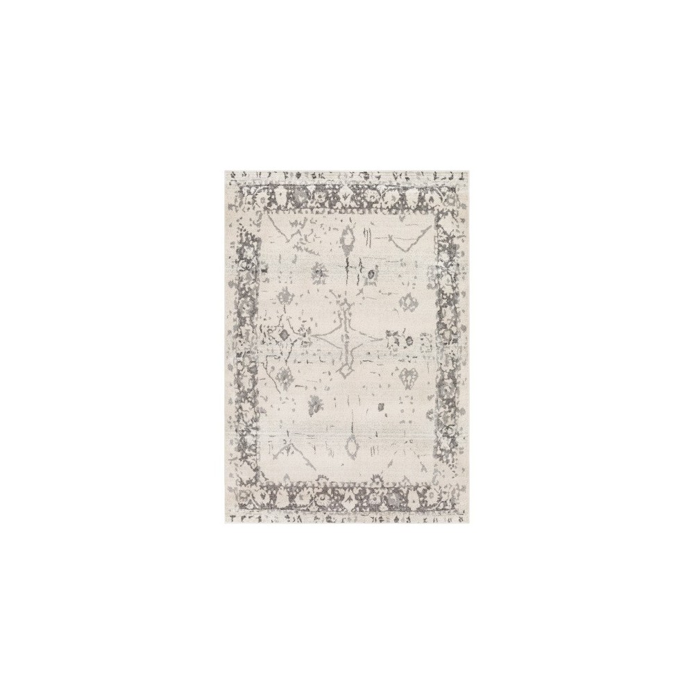 Surya Chelsea CSA-2325 5'3" x 7'3" Rug