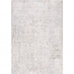 Surya Soleil SOI-2310 2' x 3' Rug