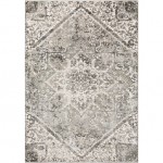 Surya Soleil SOI-2311 7'10" x 10'6" Rug