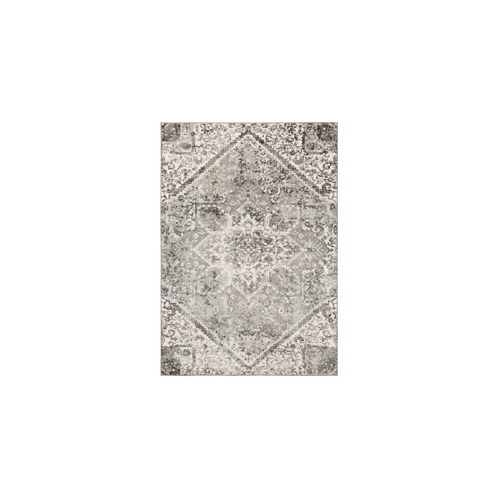 Surya Soleil SOI-2311 7'10" x 10'6" Rug Surya Soleil SOI-2311 7'10" x 10'6" Rug