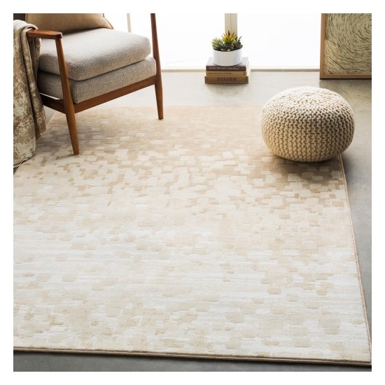 Surya Contempo CPO-3841 2'7" x 7'10" Rug