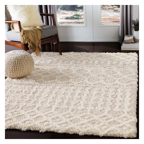 Surya Urban Shag USG-2303 2' x 2'11" Rug