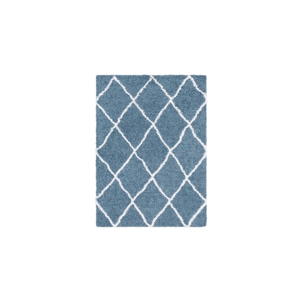 Surya Urban Shag USG-2309 7'10" x 10'2" Rug