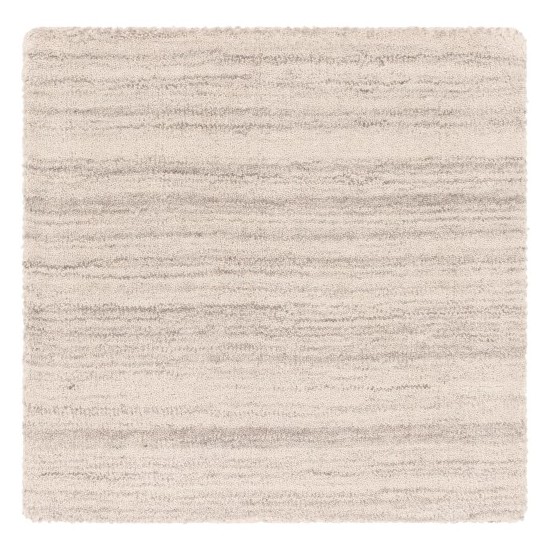 Surya Adyant AYT-1000 2' x 3' Rug