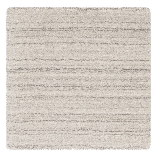 Surya Adyant AYT-1005 2' x 3' Rug