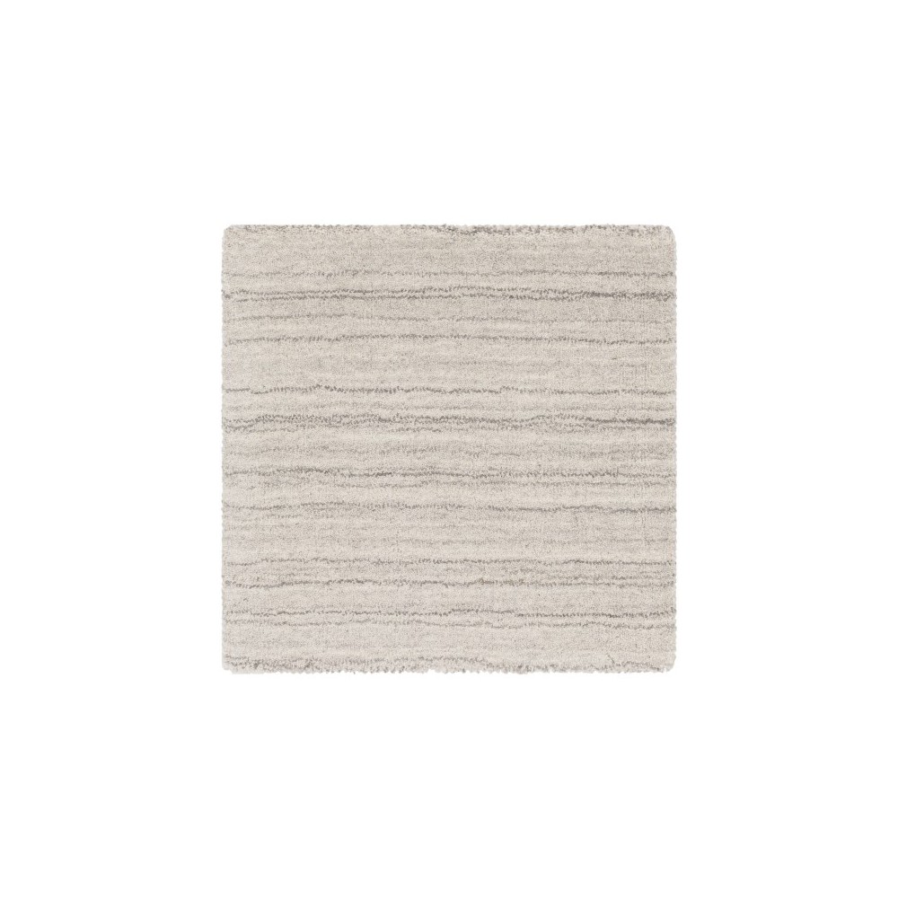 Surya Adyant AYT-1005 2' x 3' Rug Surya Adyant AYT-1005 2' x 3' Rug