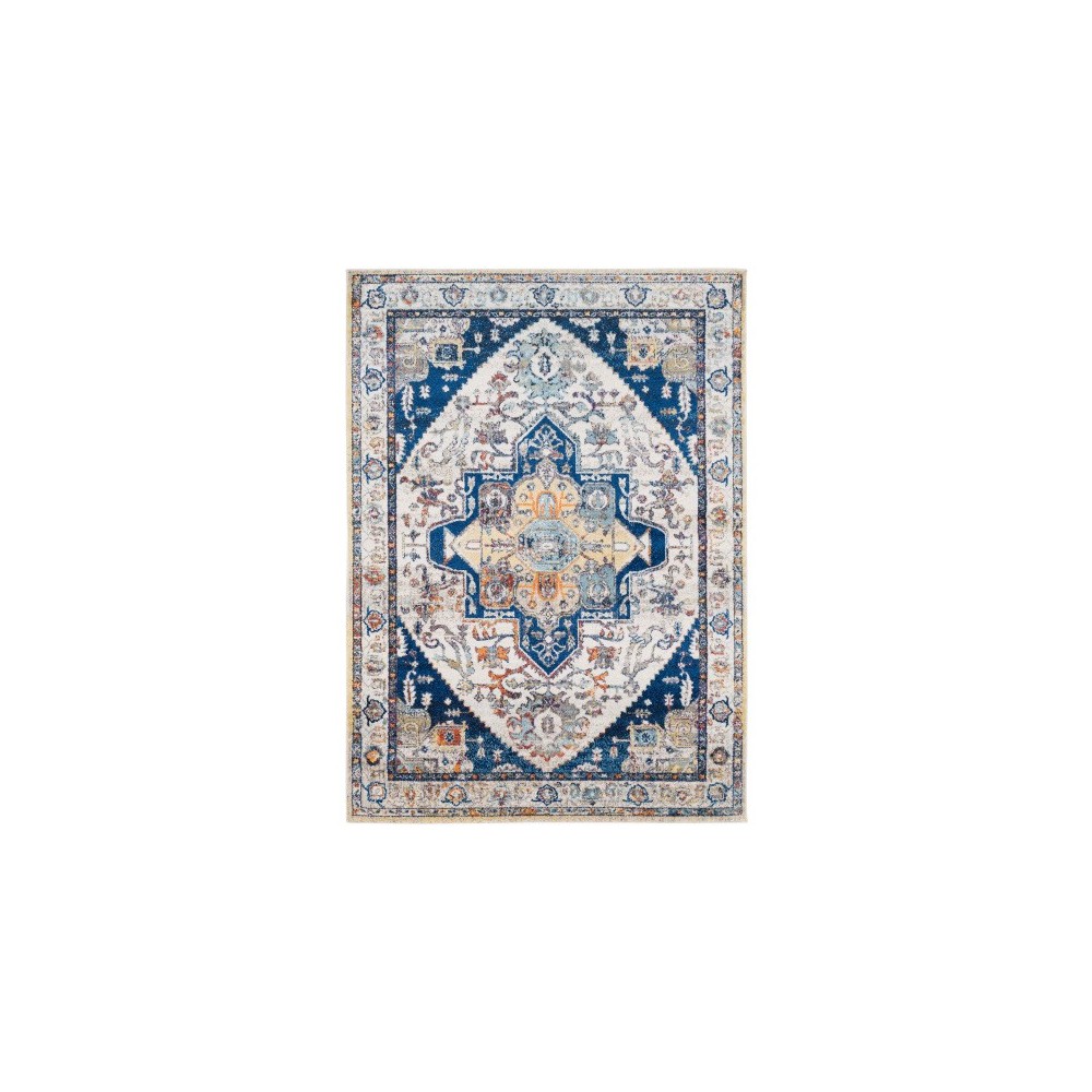 Surya Ararat ARA-2305 2' x 3' Rug