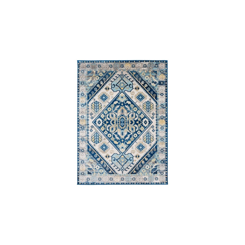 Surya Ararat ARA-2306 2' x 3' Rug