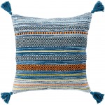 Surya Trenza TZ-005 22" x 22" Pillow Cover