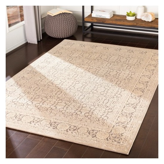 Surya Aesop ASP-2300 2' x 2'11" Rug