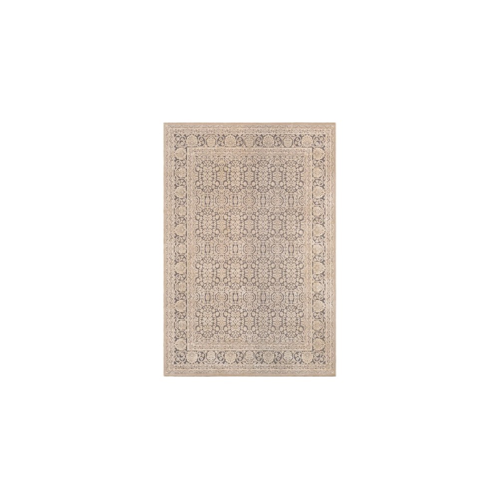 Surya Aesop ASP-2300 5'3" x 7'3" Rug