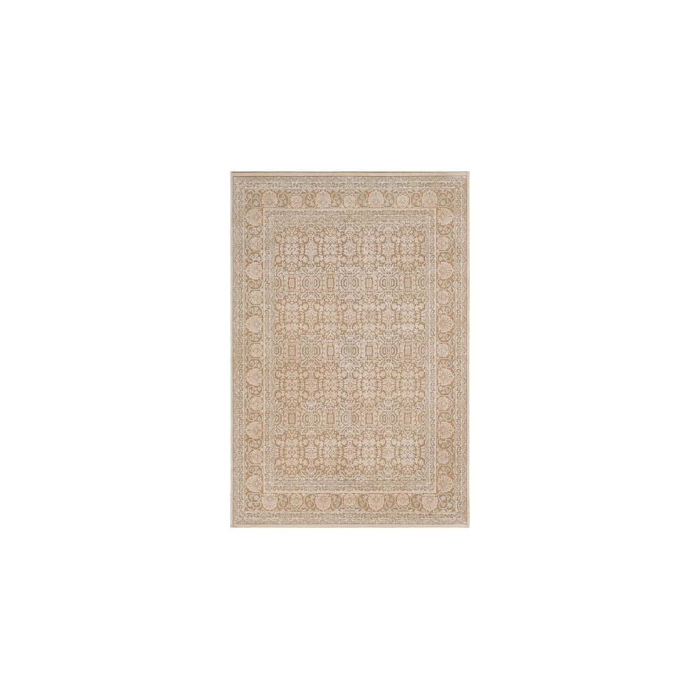 Surya Aesop ASP-2301 5'3" x 7'3" Rug