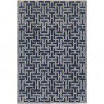 Surya Aesop ASP-2312 2' x 2'11" Rug