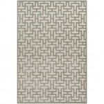 Surya Aesop ASP-2314 2' x 2'11" Rug